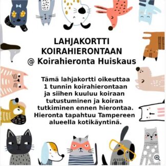 Lahjakortti KOIRAHIERONTAAN